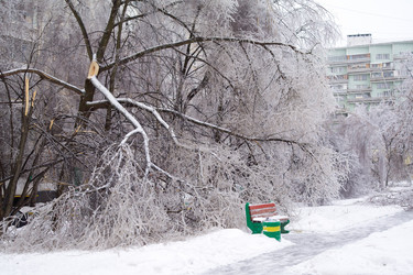 Similar image 425509