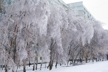 Similar image 425515