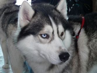 Similar image 425525