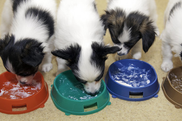 Similar image 425558