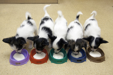 Similar image 425559