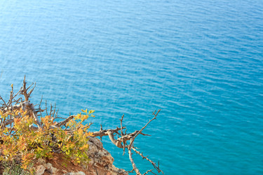 Similar image 425570