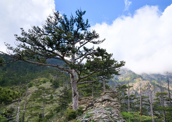 Similar image 425634