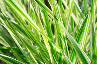 Similar image 425668