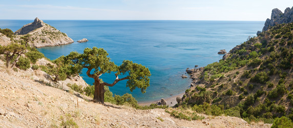 Similar image 425686