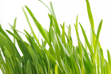 Similar image 425734