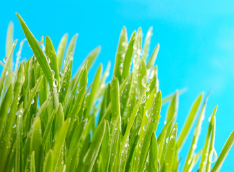 Similar image 425742