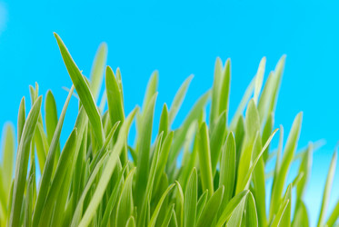 Similar image 425743