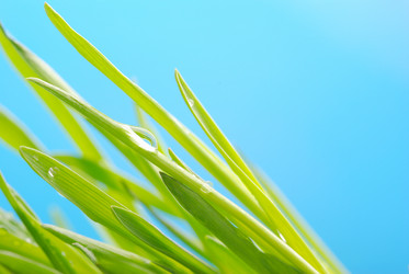 Similar image 425744