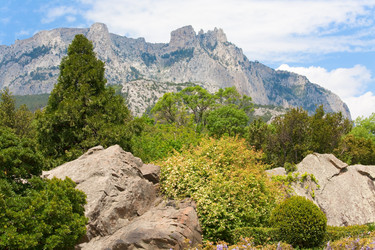 Similar image 425922