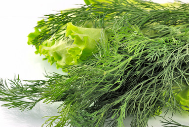 Similar image 425927