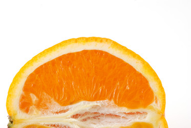 Similar image 425933