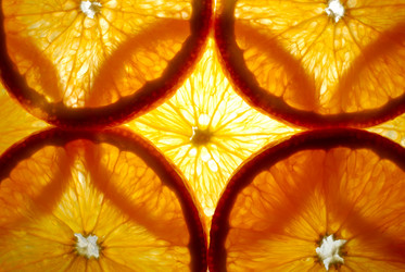 Similar image 425941