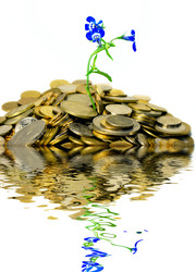 Similar image 425978