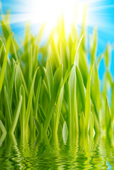 Similar image 426022