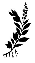 Similar image 426079