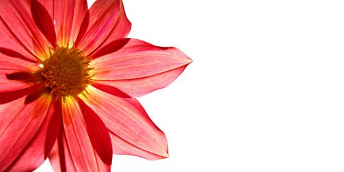 Similar image 426100