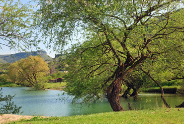 Similar image 426216