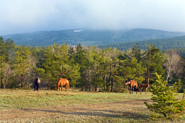 Similar image 426276