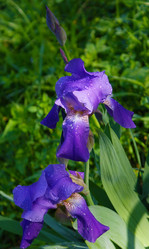 Similar image 426312