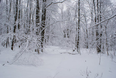 Similar image 426313