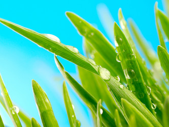 Similar image 426331