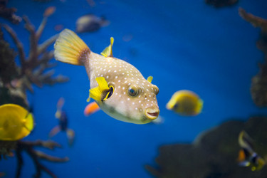 Similar image 426380