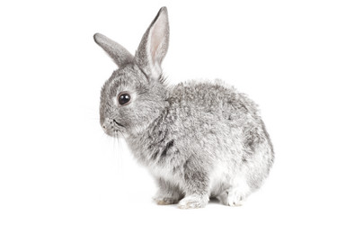 Similar image 426460