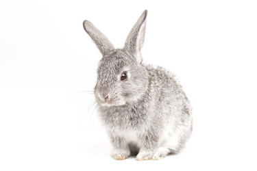 Similar image 426462