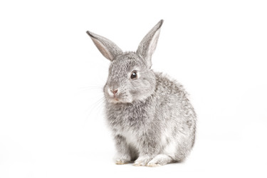 Similar image 426464