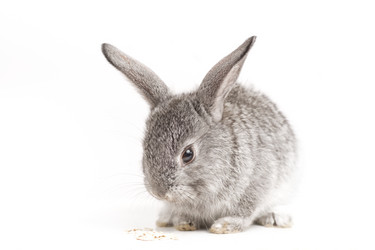 Similar image 426466