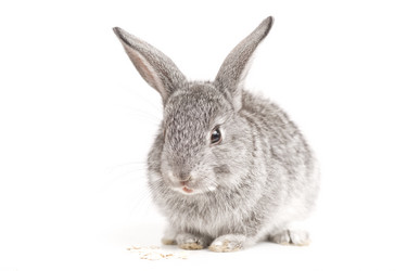 Similar image 426467