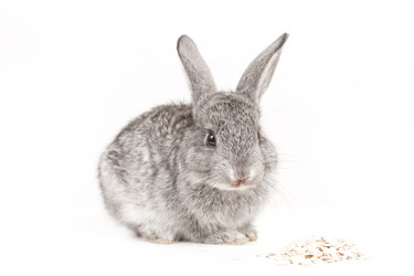 Similar image 426470