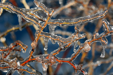 Similar image 426475