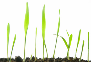 Similar image 426516