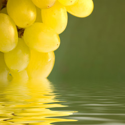 Similar image 426530