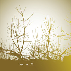 Similar image 426539