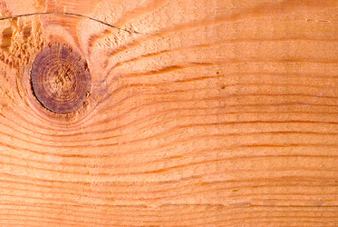 Similar image 426540