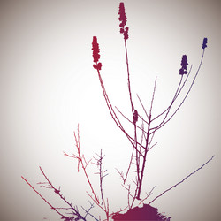 Similar image 426542