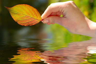 Similar image 426551