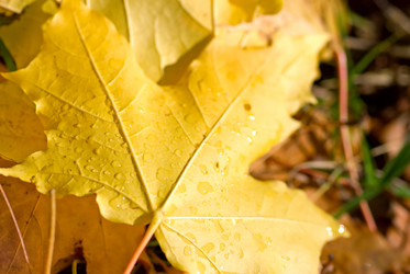 Similar image 426554