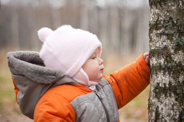 Similar image 426560