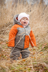 Similar image 426561