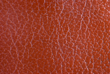 Similar image 426577