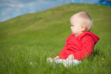 Similar image 426587