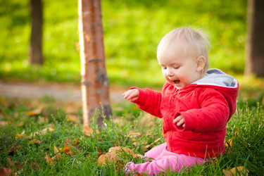 Similar image 426589