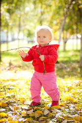 Similar image 426597