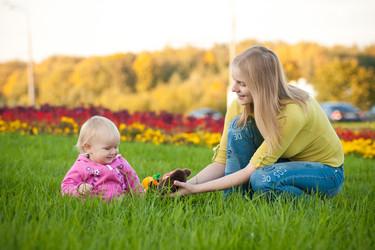 Similar image 426603