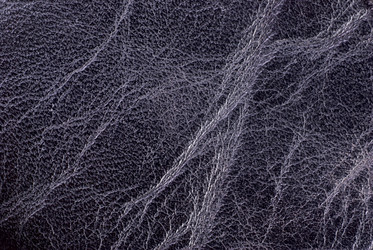 Similar image 426638