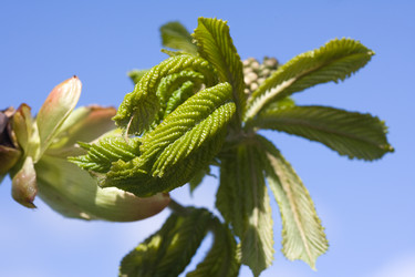 Similar image 426698